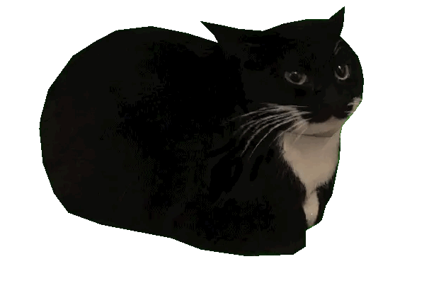 Estilo USAGI streetwear